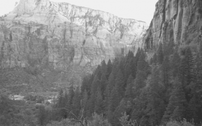 What Would it Have Been Like to Visit Zion in 1919?