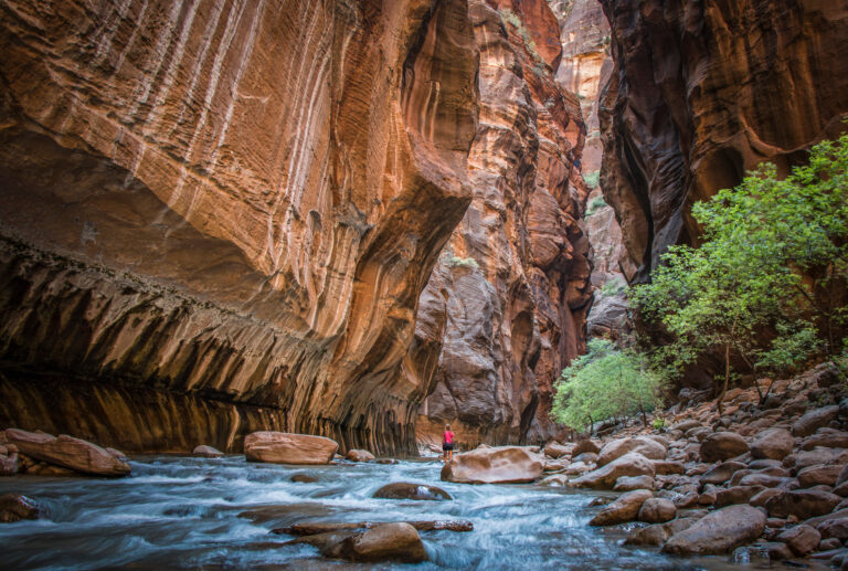 The Narrows, Zion National Park, Utah