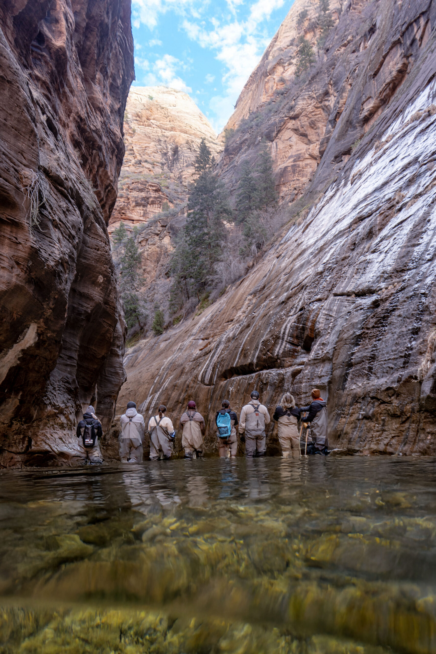 A group of men and women standing in the Narrows, gazing up at the towering cliffs.  Zion National Park