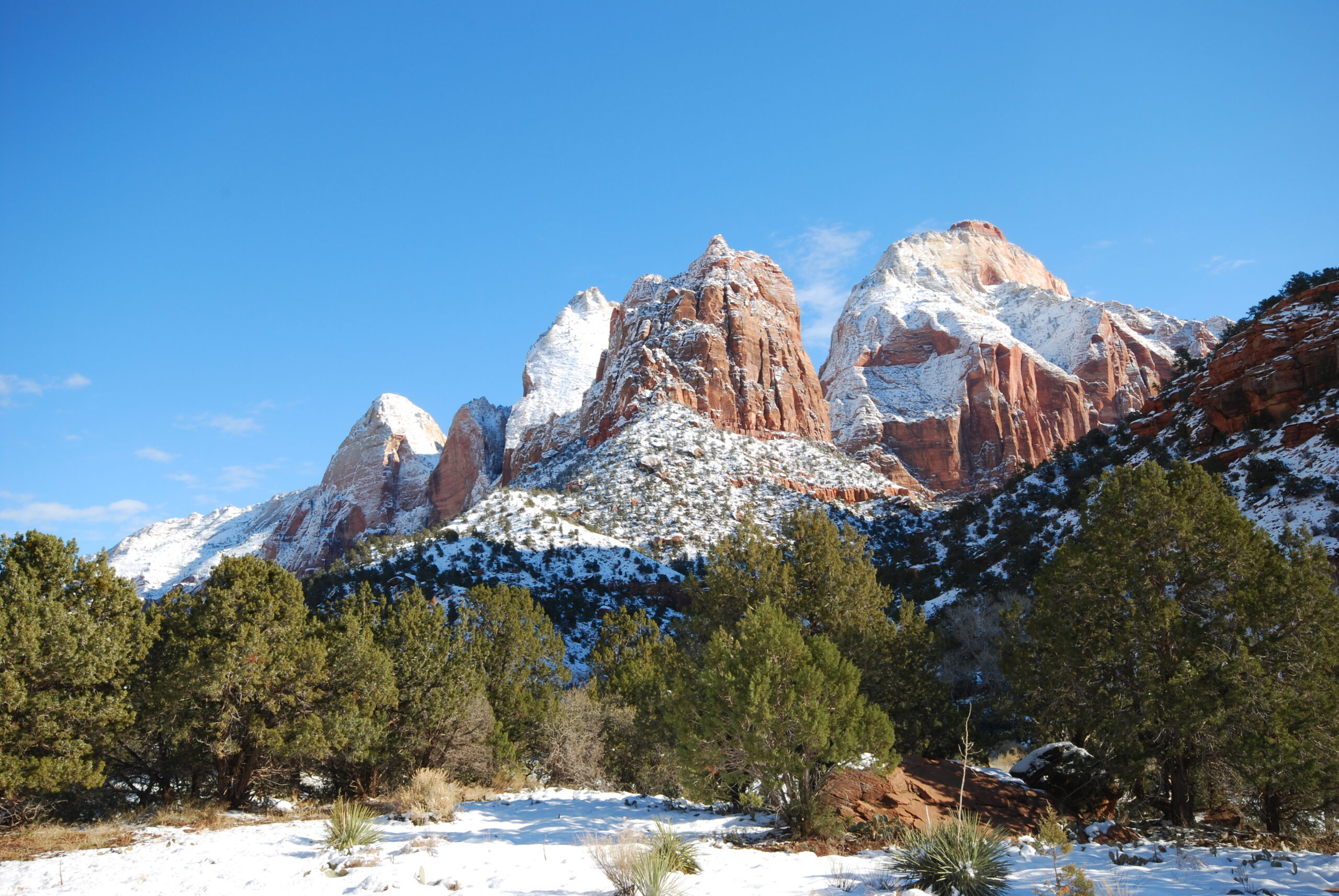 Zion National Park in Snow